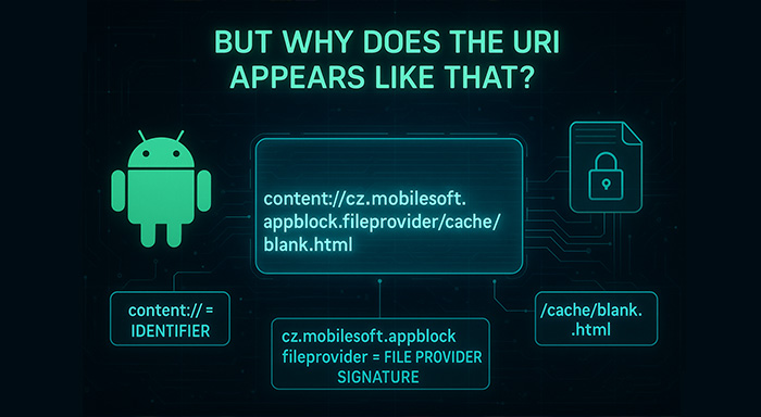 why does the URI Appears Like That?