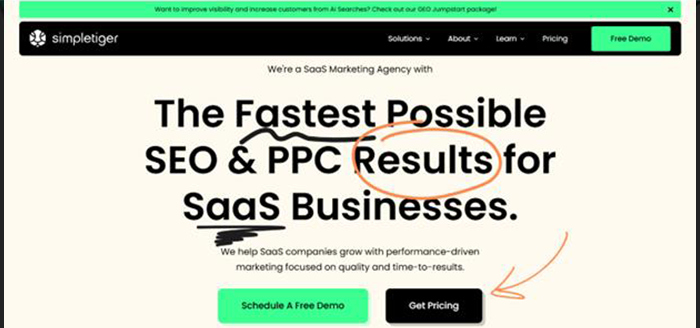 SimpleTiger — Value-based content and UX-powered SEO 