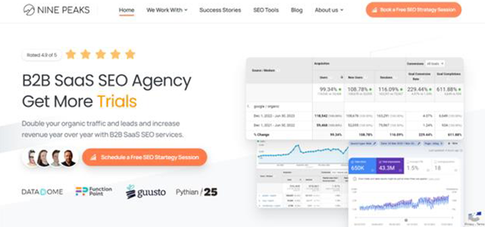 Nine Peaks — SEO Growth Programs that Grow with B2B SaaS 