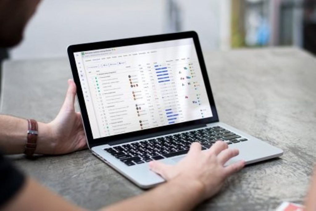 Infographic showing structured project management workflow for SMEs with icons, tasks, milestones, and a professional actively managing projects.