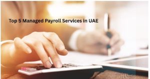 Top 5 Managed Payroll Service Providers In UAE