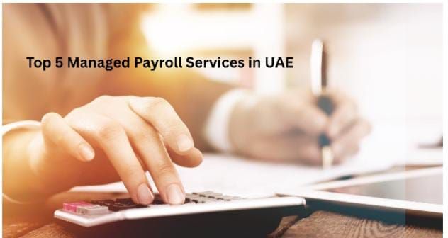 Top 5 Managed Payroll Service Providers In UAE