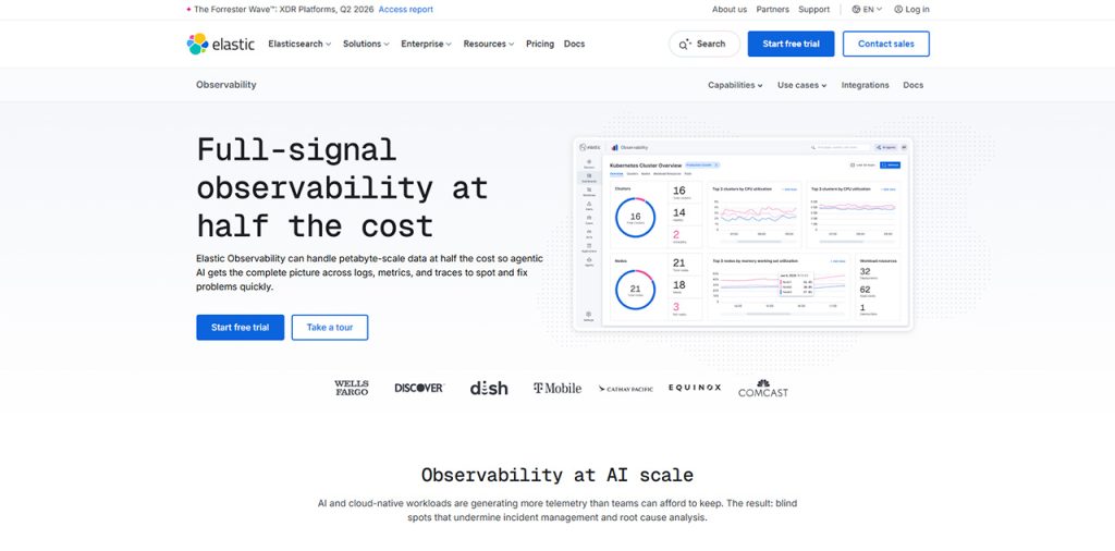 Search-first observability